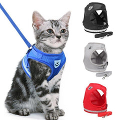 Chest Collar for Cats 