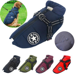 Pet Jones™ Windbreaker Vest | Dog's clothes 